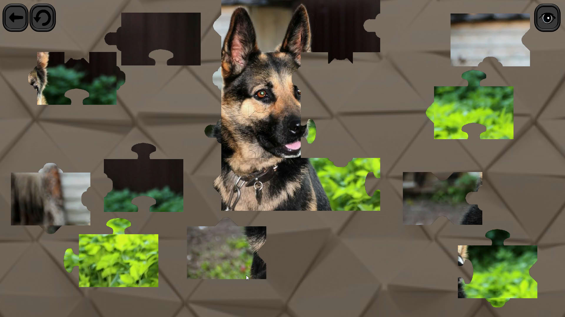 Screenshot for Puzzles for smart: Dogs