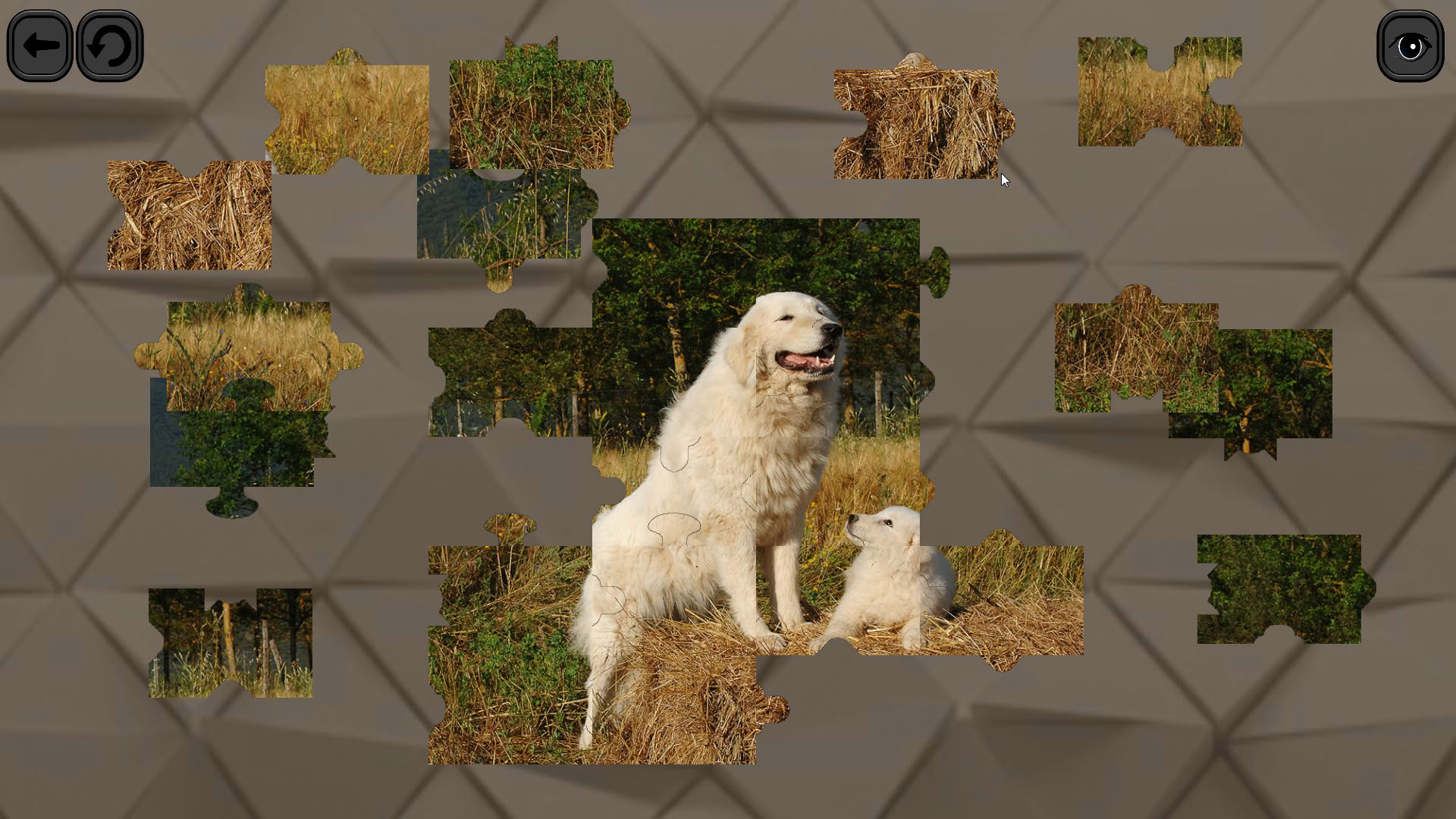 Screenshot for Puzzles for smart: Dogs
