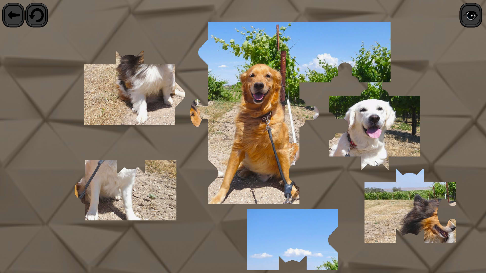 Screenshot for Puzzles for smart: Dogs