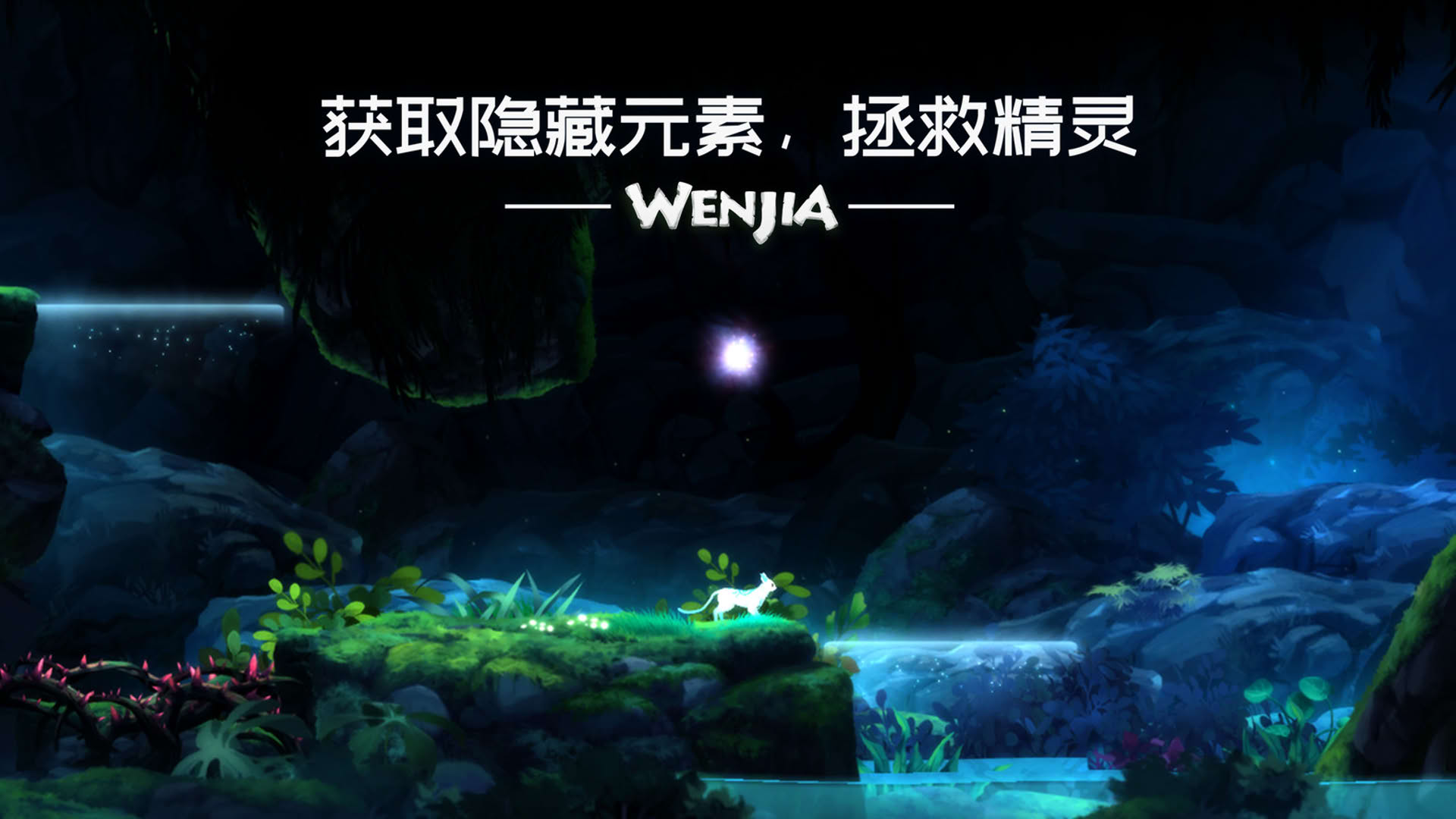 Screenshot for Wenjia