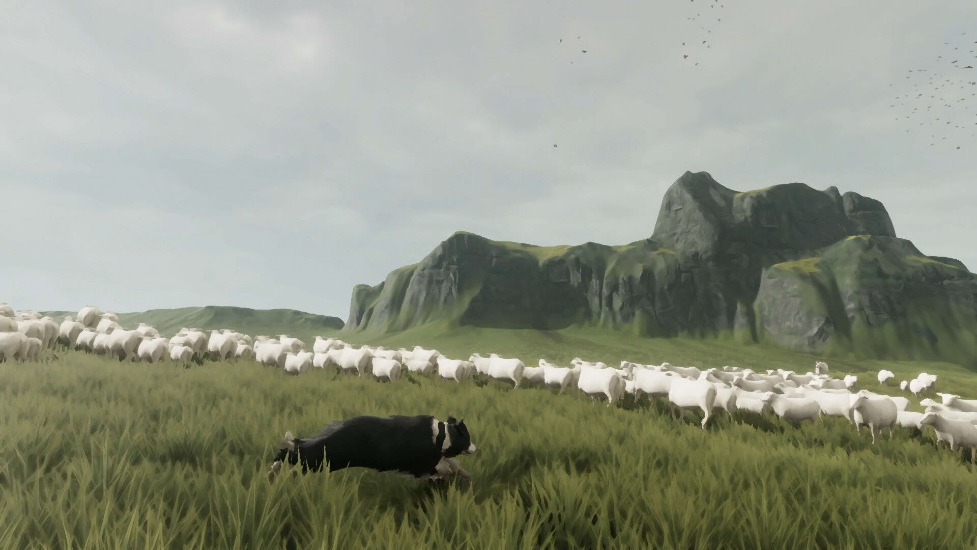 Screenshot for The Free Shepherd