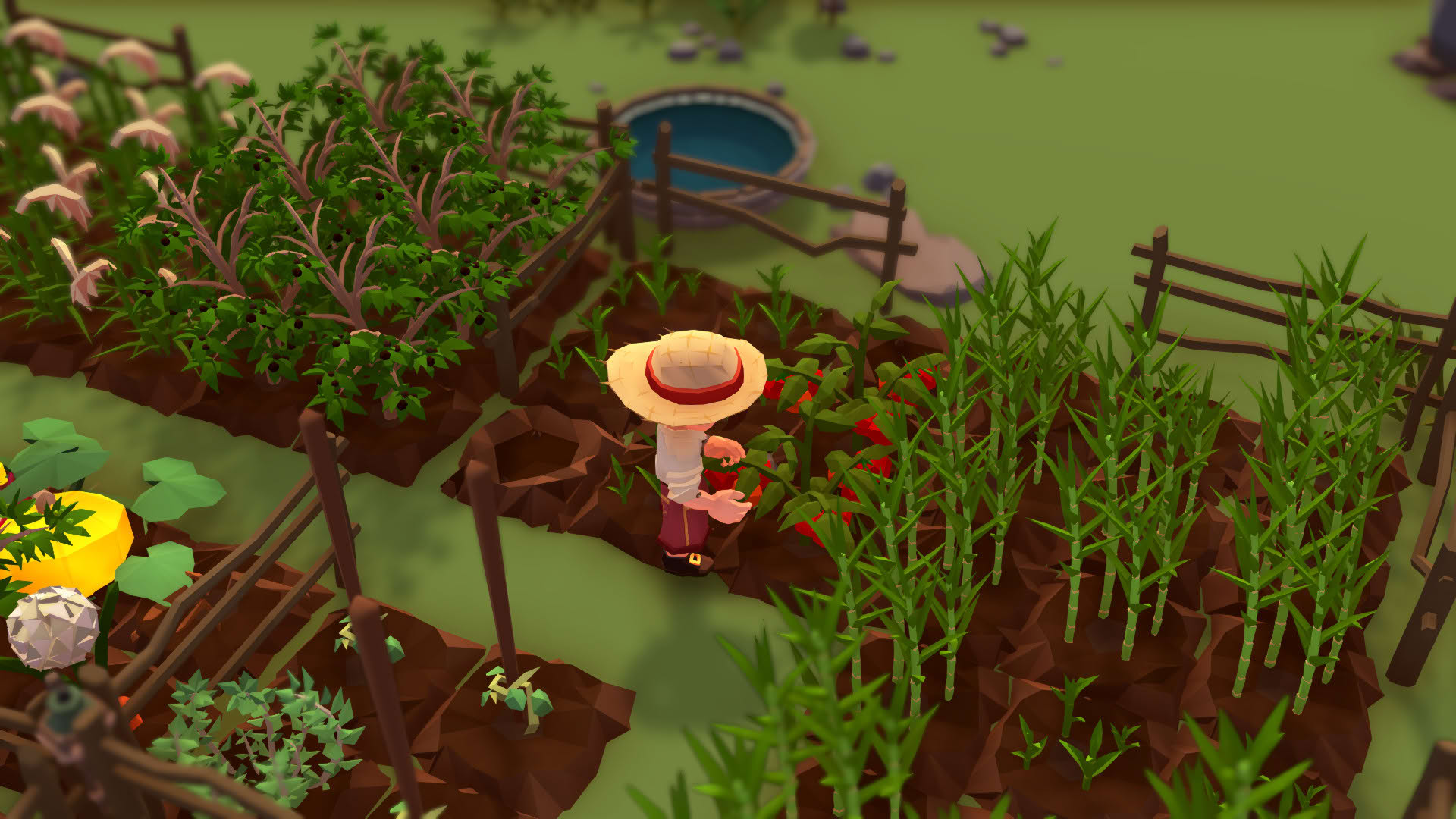 Screenshot for Stranded Sails