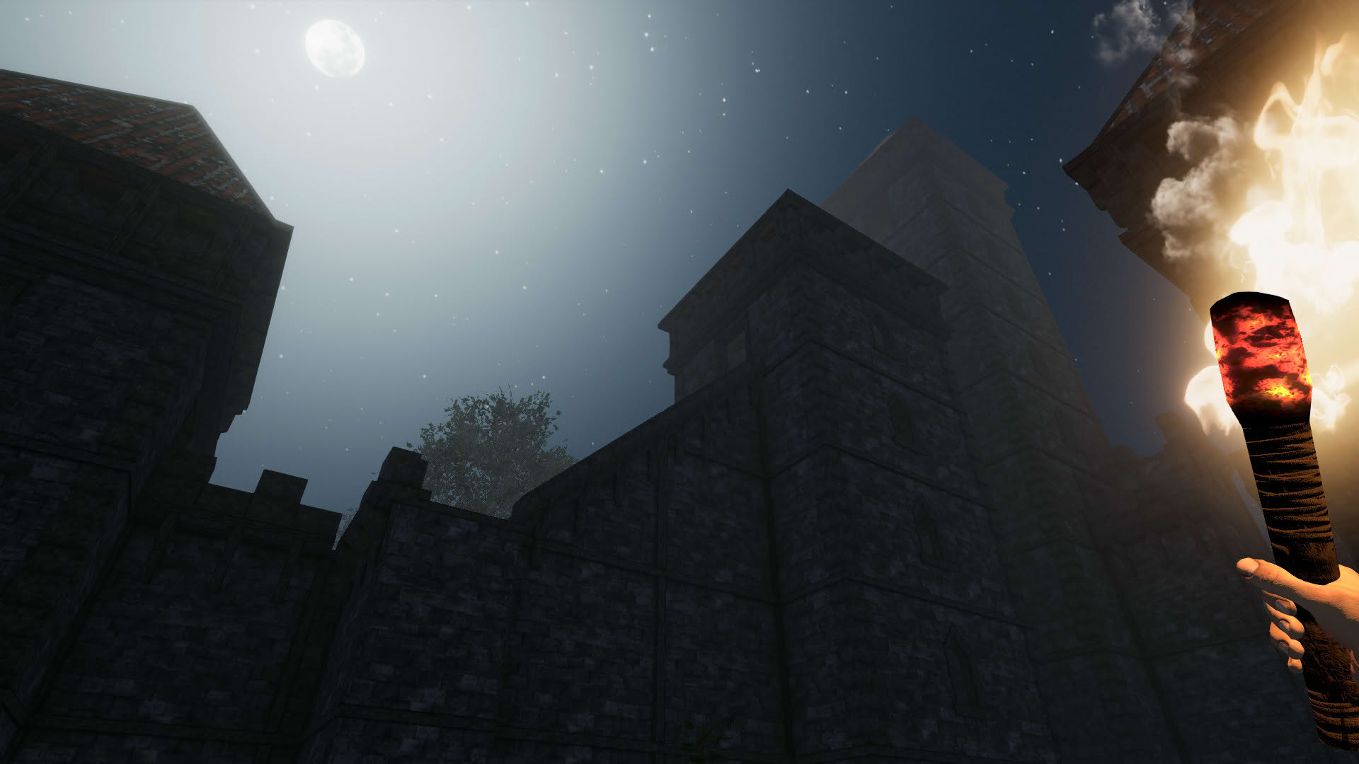 Screenshot for Castle Flipper