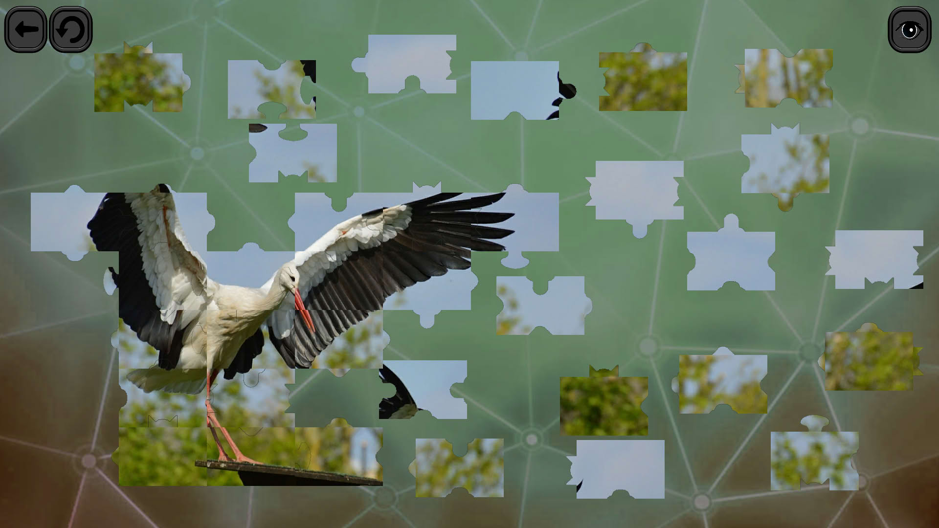 Screenshot for Puzzles for Smart: Birds