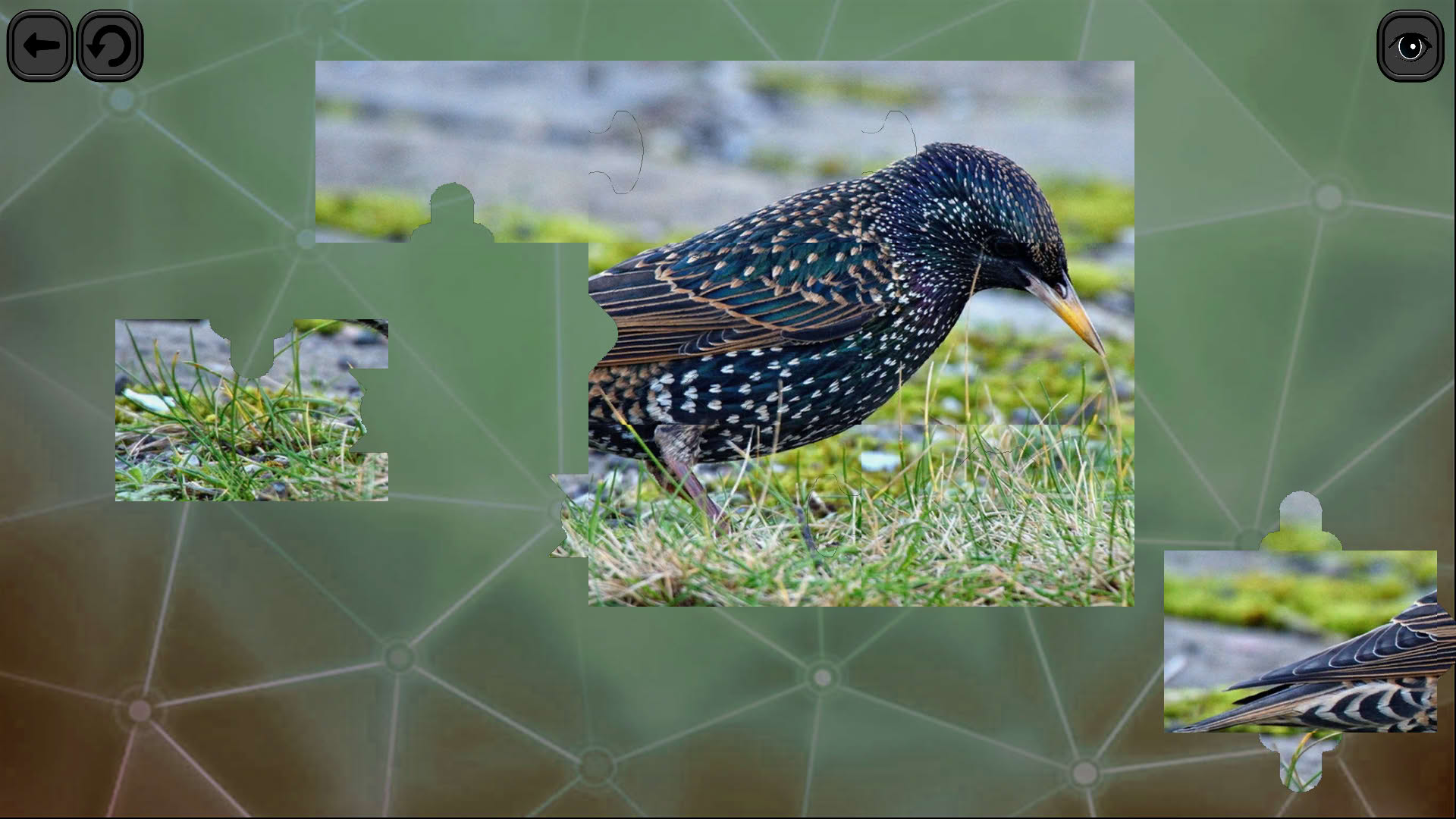 Screenshot for Puzzles for Smart: Birds