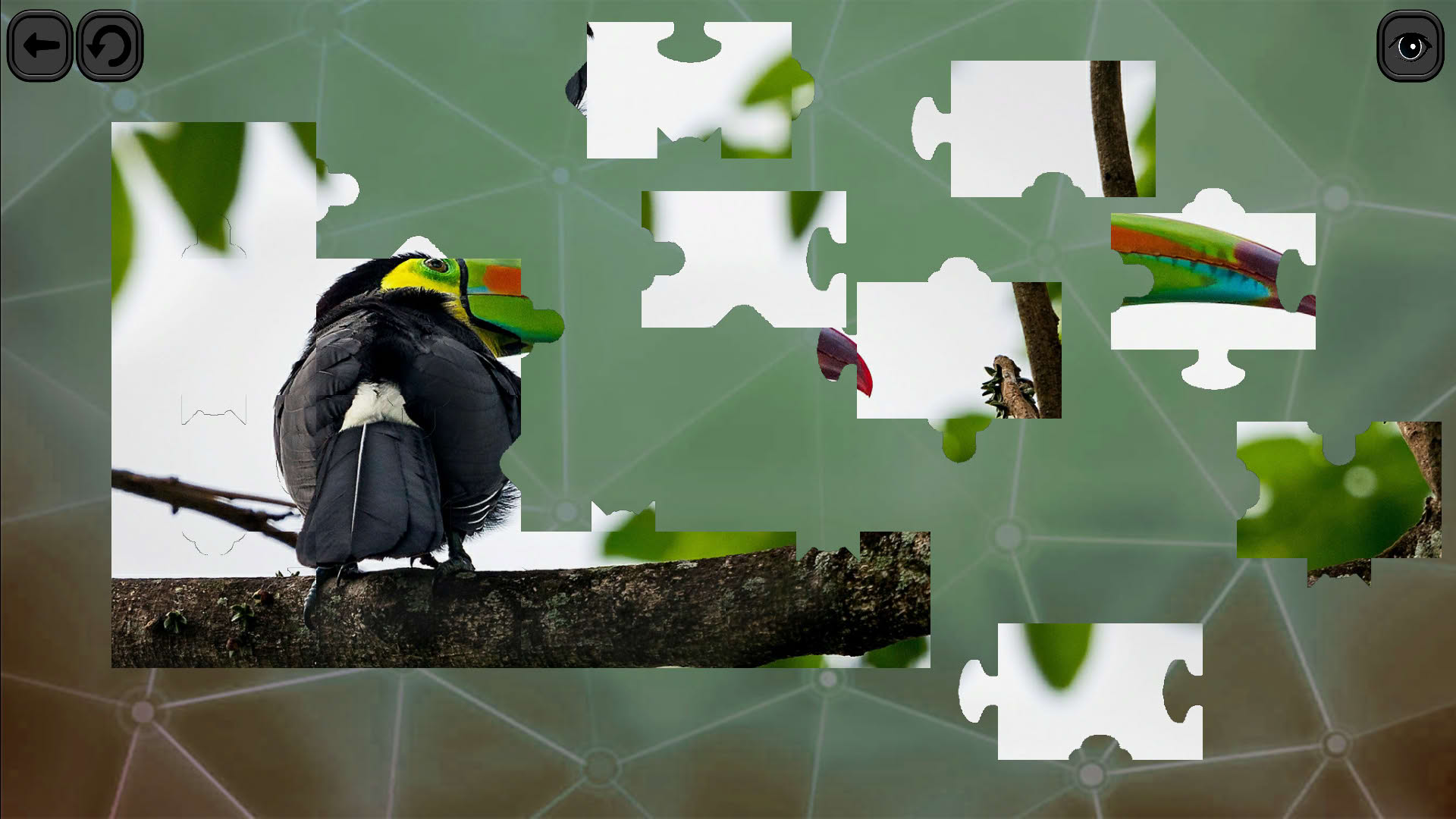 Screenshot for Puzzles for Smart: Birds