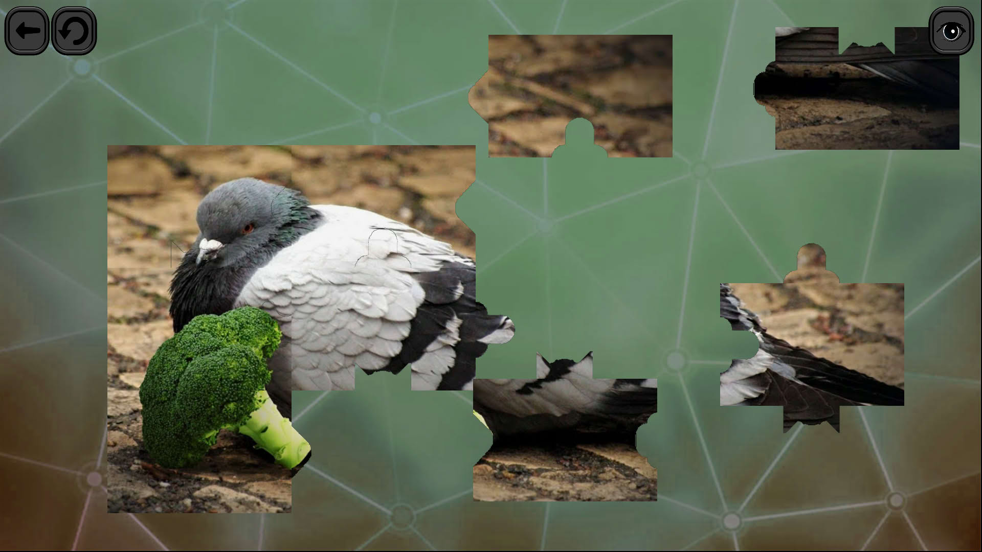 Screenshot for Puzzles for Smart: Birds