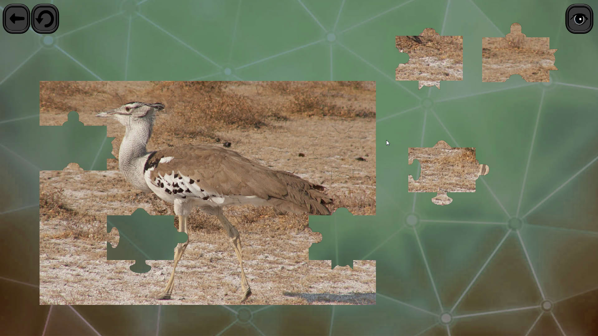 Screenshot for Puzzles for Smart: Birds
