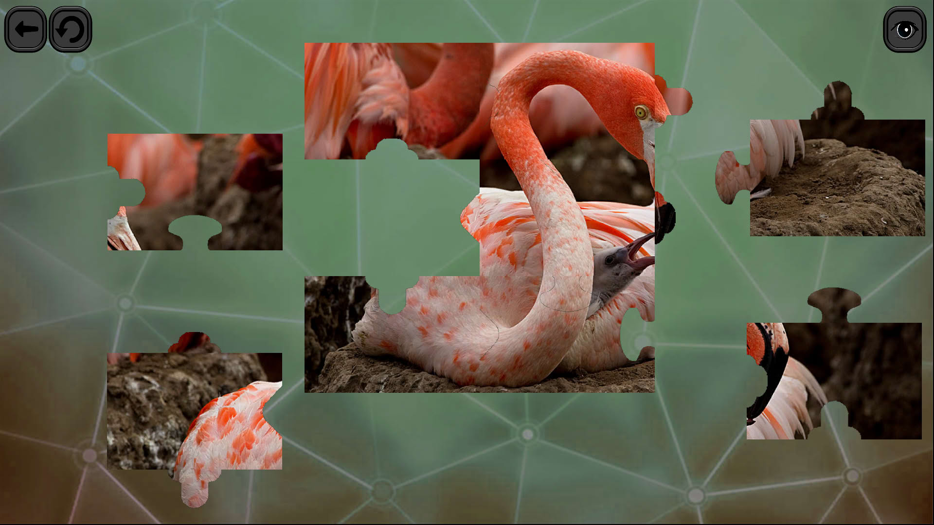 Screenshot for Puzzles for Smart: Birds
