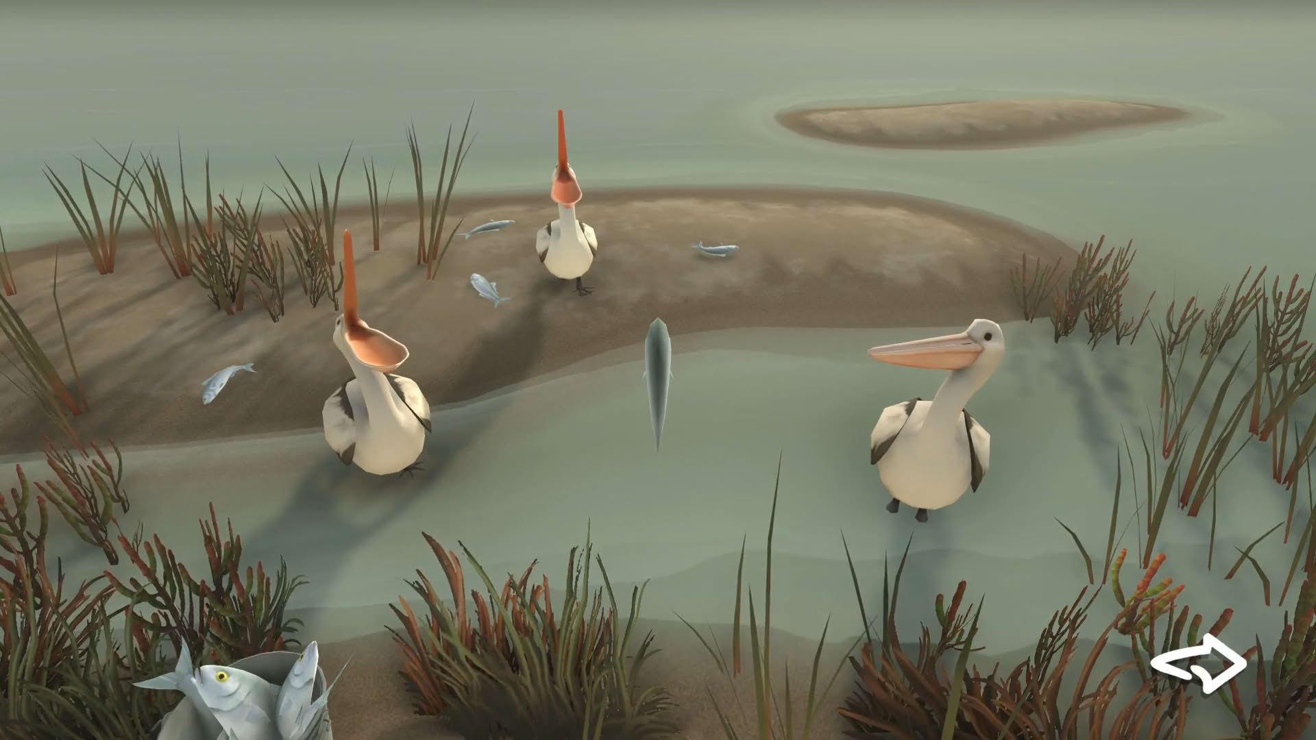 Screenshot for Storm Boy