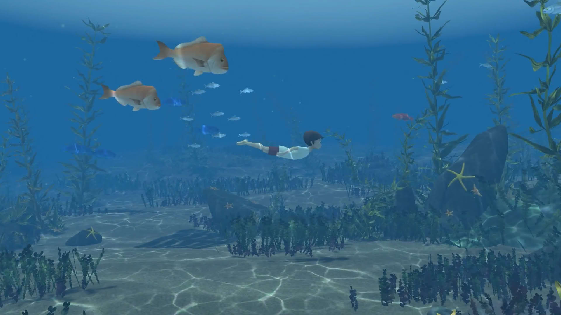 Screenshot for Storm Boy