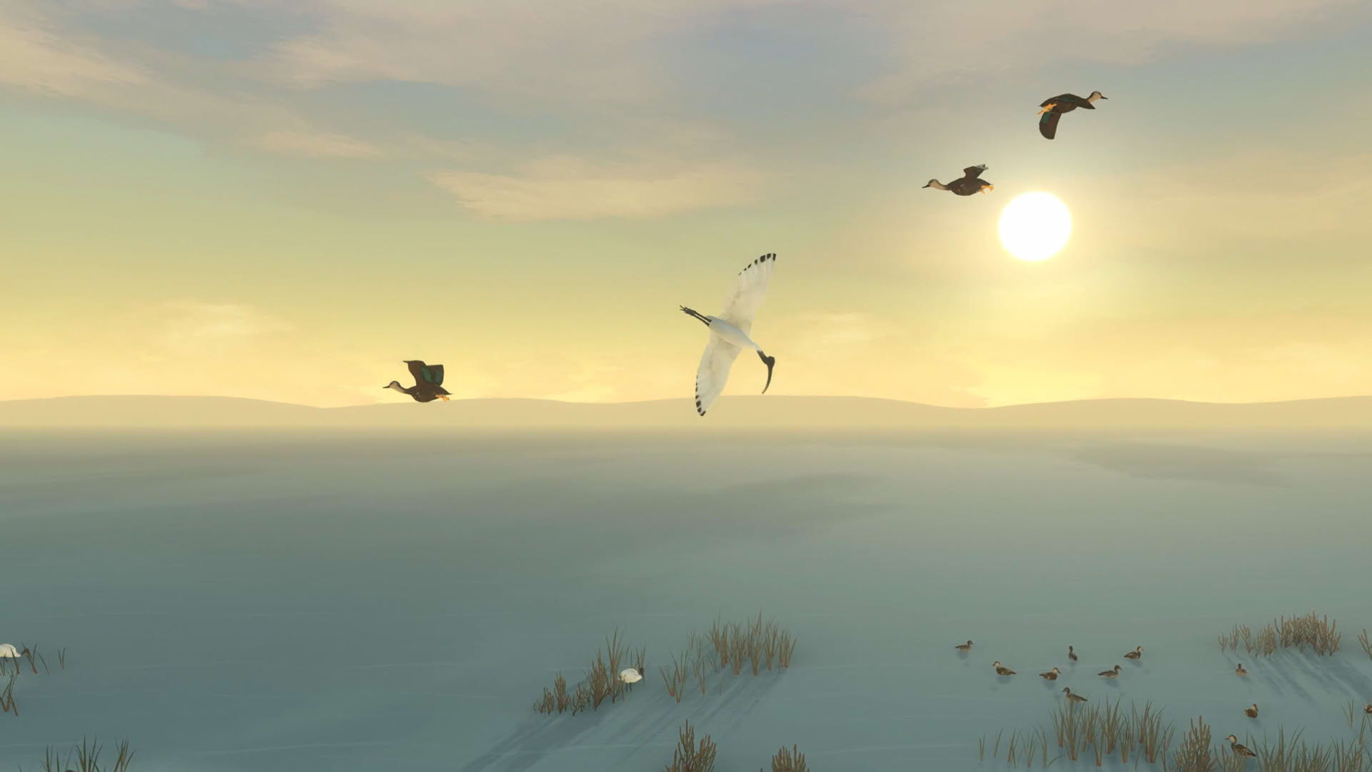 Screenshot for Storm Boy