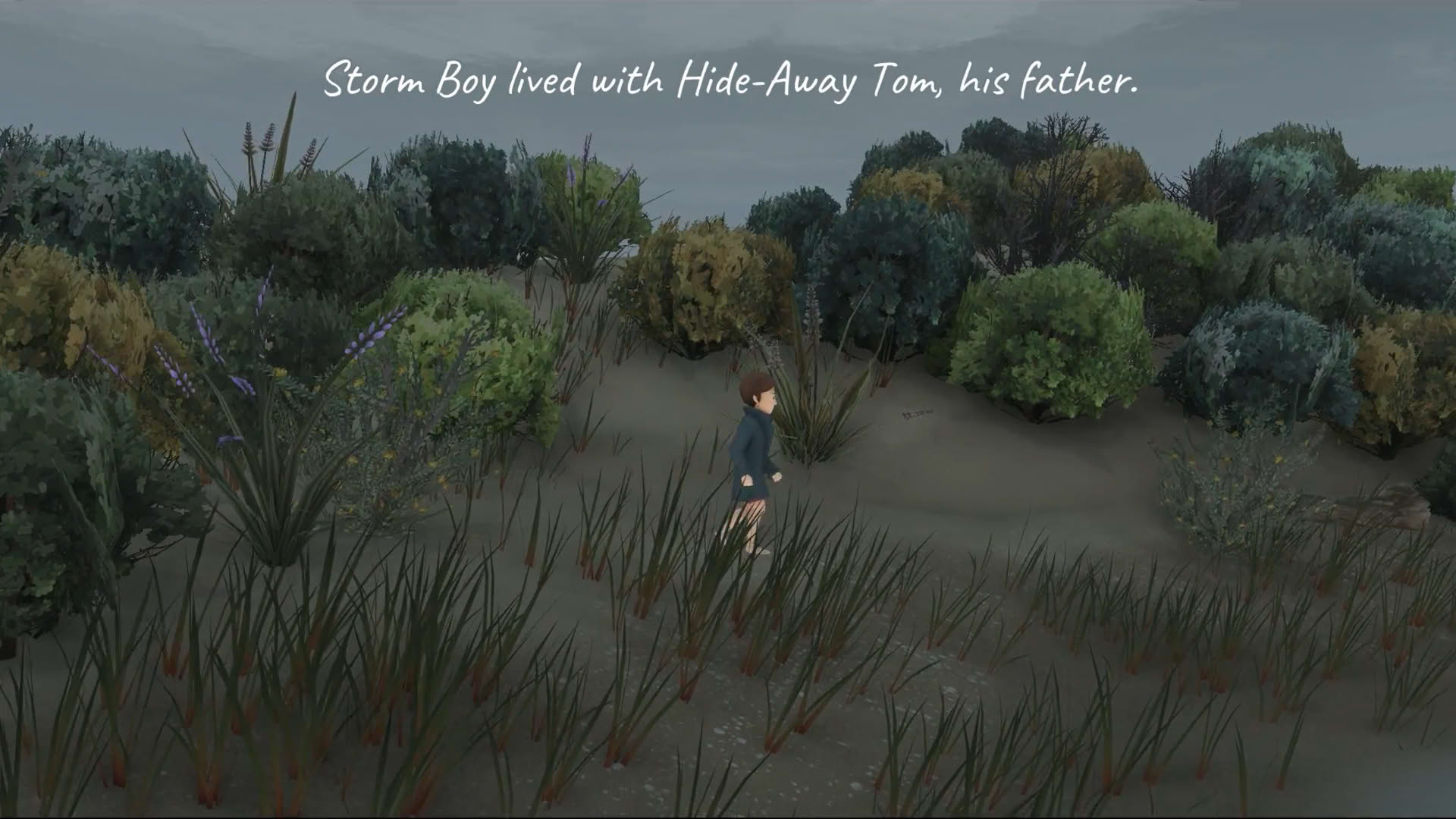 Screenshot for Storm Boy