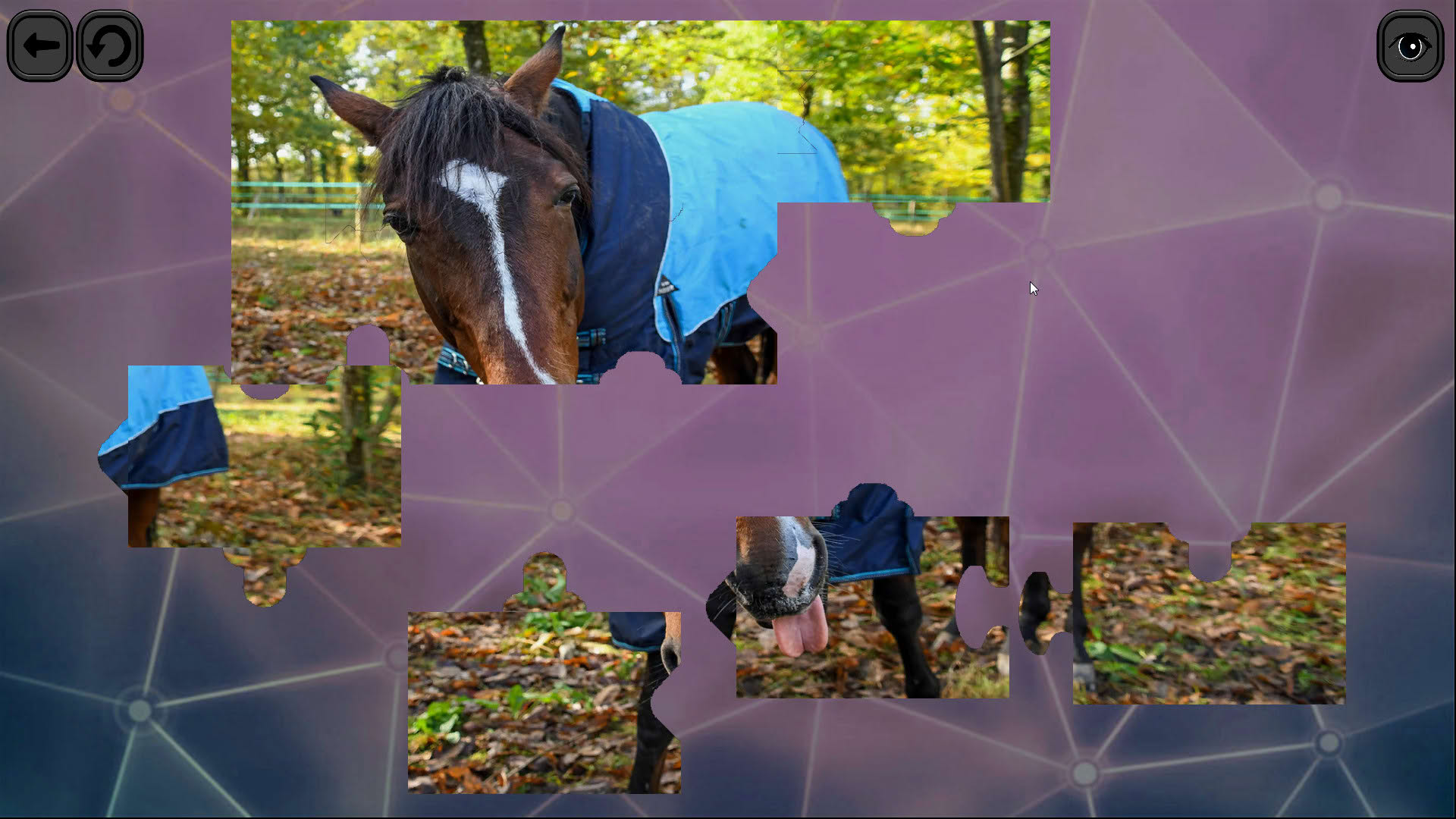 Screenshot for Puzzles for smart: Horses