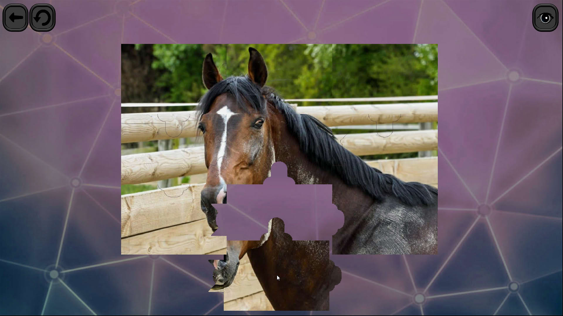 Screenshot for Puzzles for smart: Horses
