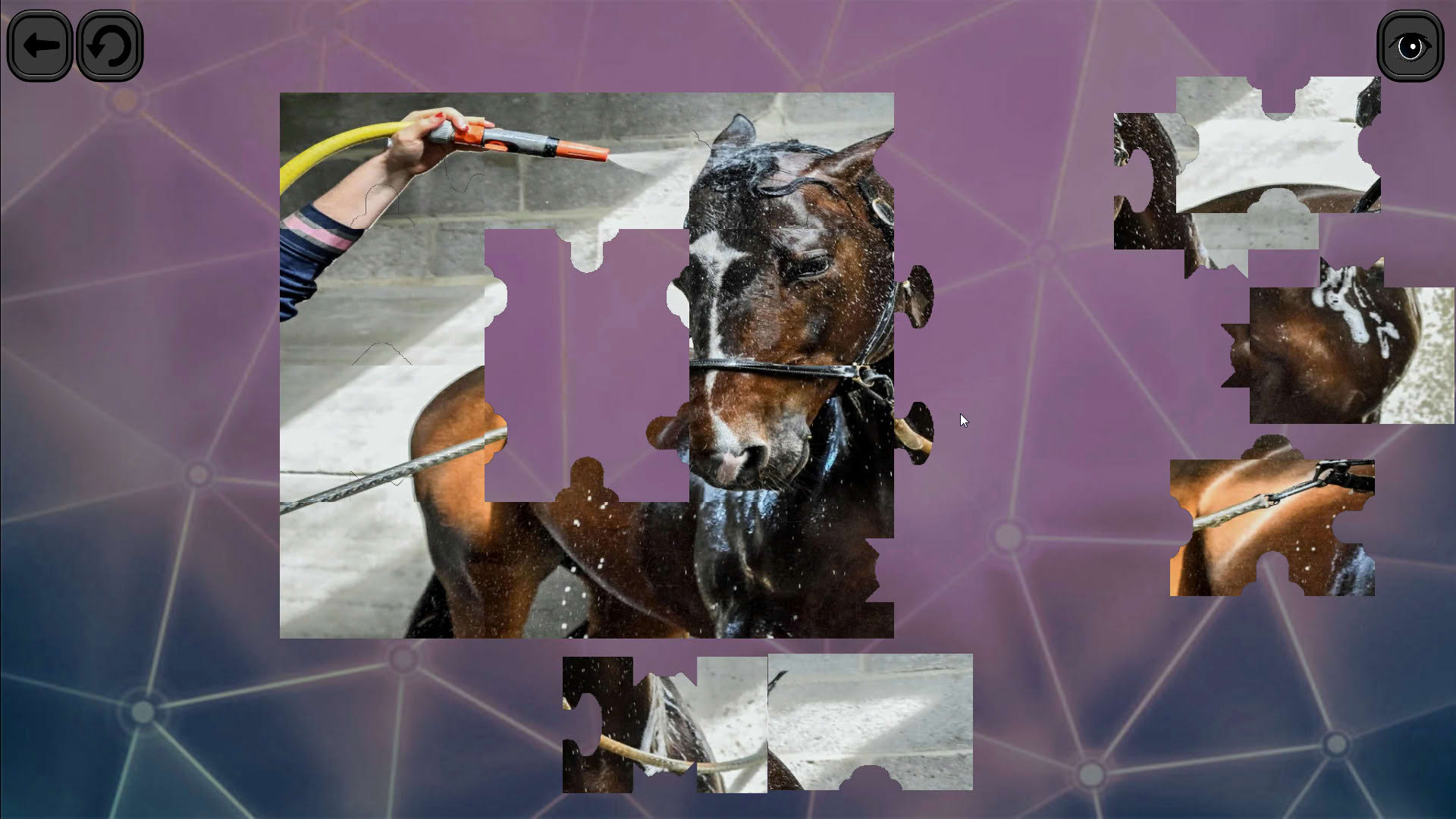 Screenshot for Puzzles for smart: Horses