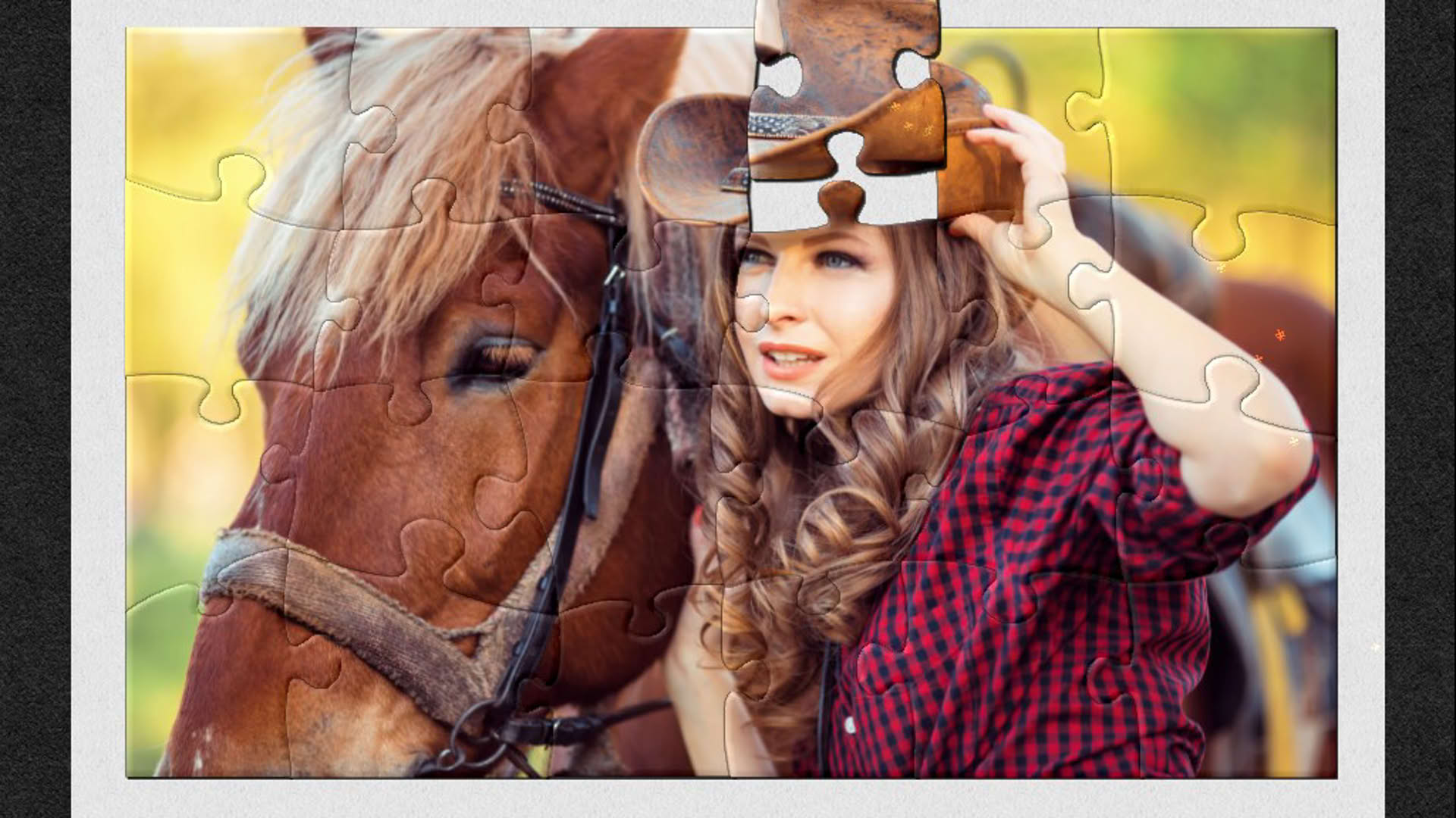 Screenshot for 1001 Jigsaw: World Tour - Great America
