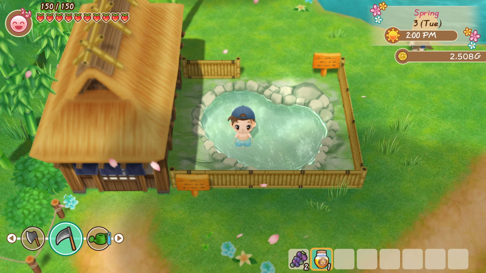 Screenshot for Story of Seasons: Friends of Mineral Town