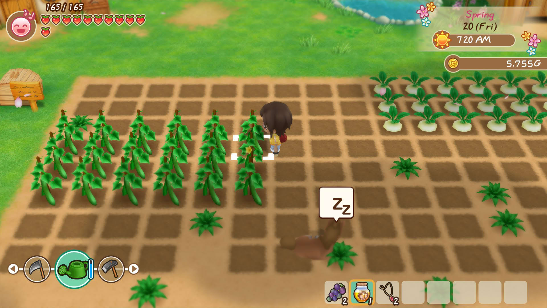 Screenshot for Story of Seasons: Friends of Mineral Town