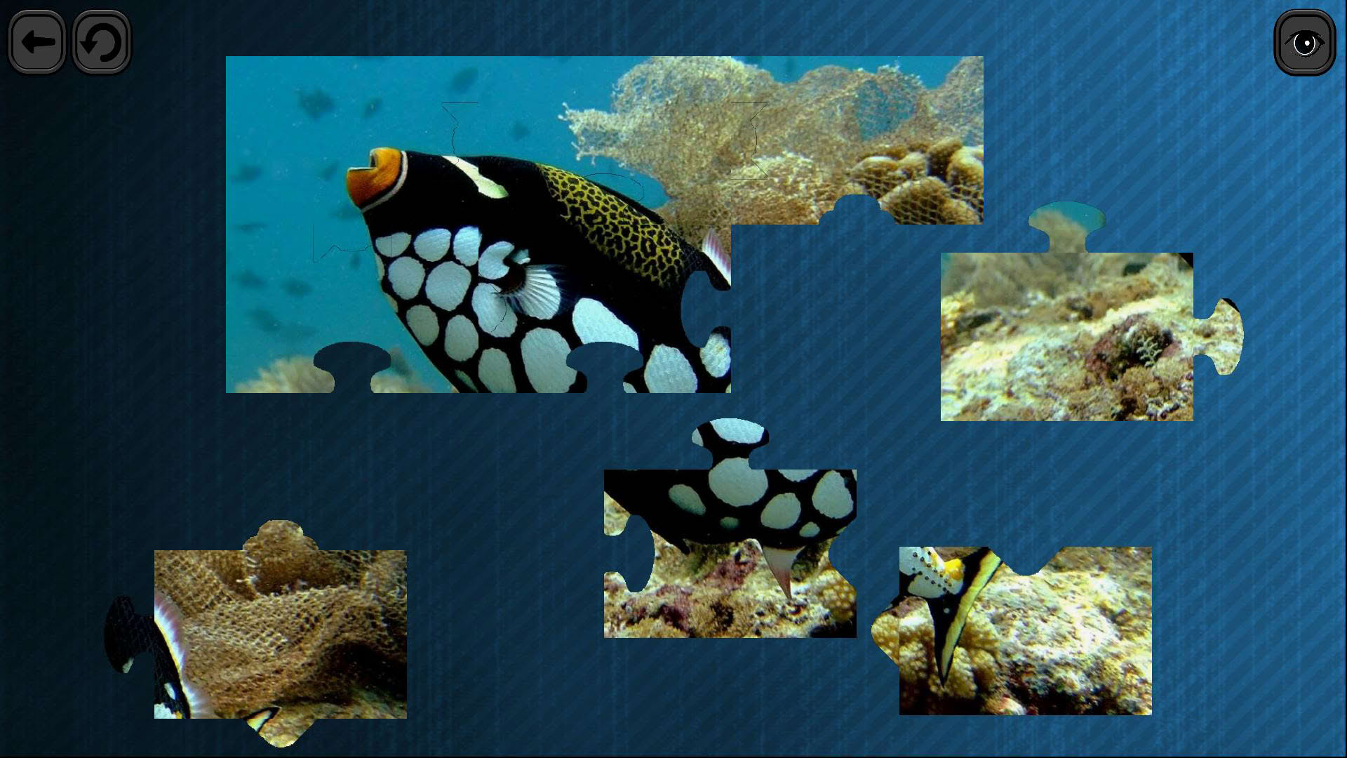 Screenshot for Puzzles for smart: Underwater Kingdom