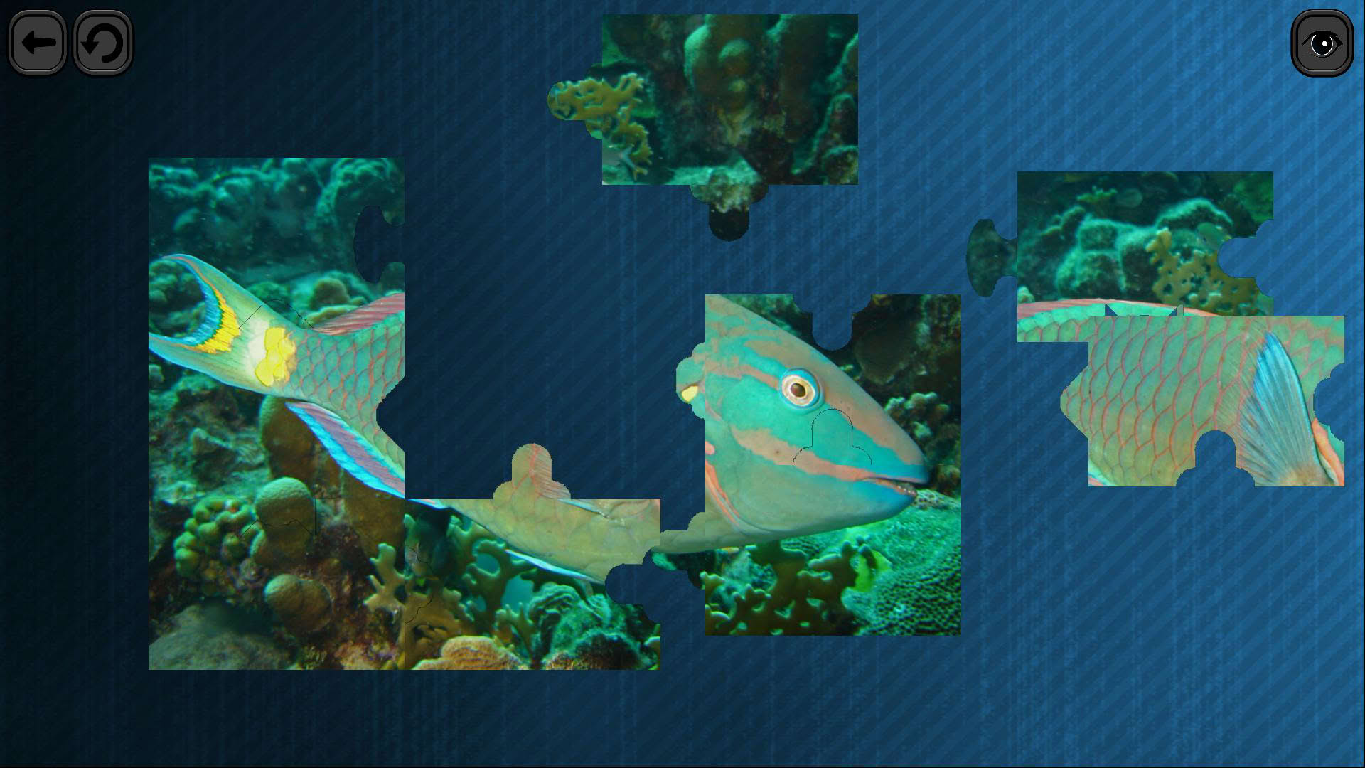 Screenshot for Puzzles for smart: Underwater Kingdom