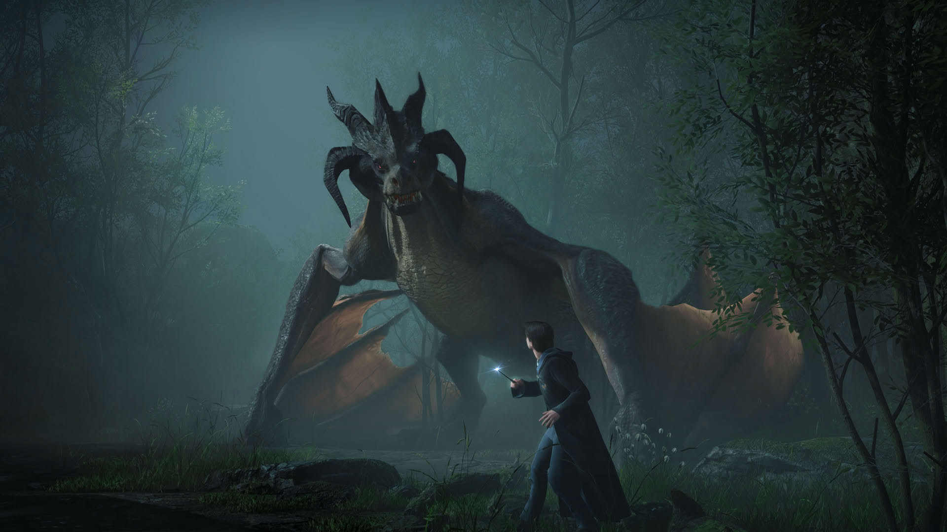 Screenshot for Hogwarts Legacy