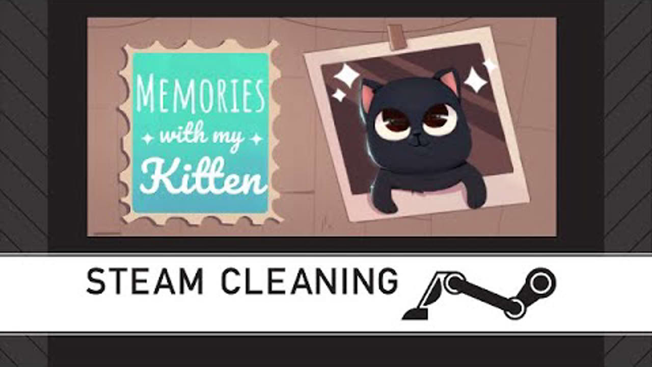 Steam Cleaning - Memories with my Kitten