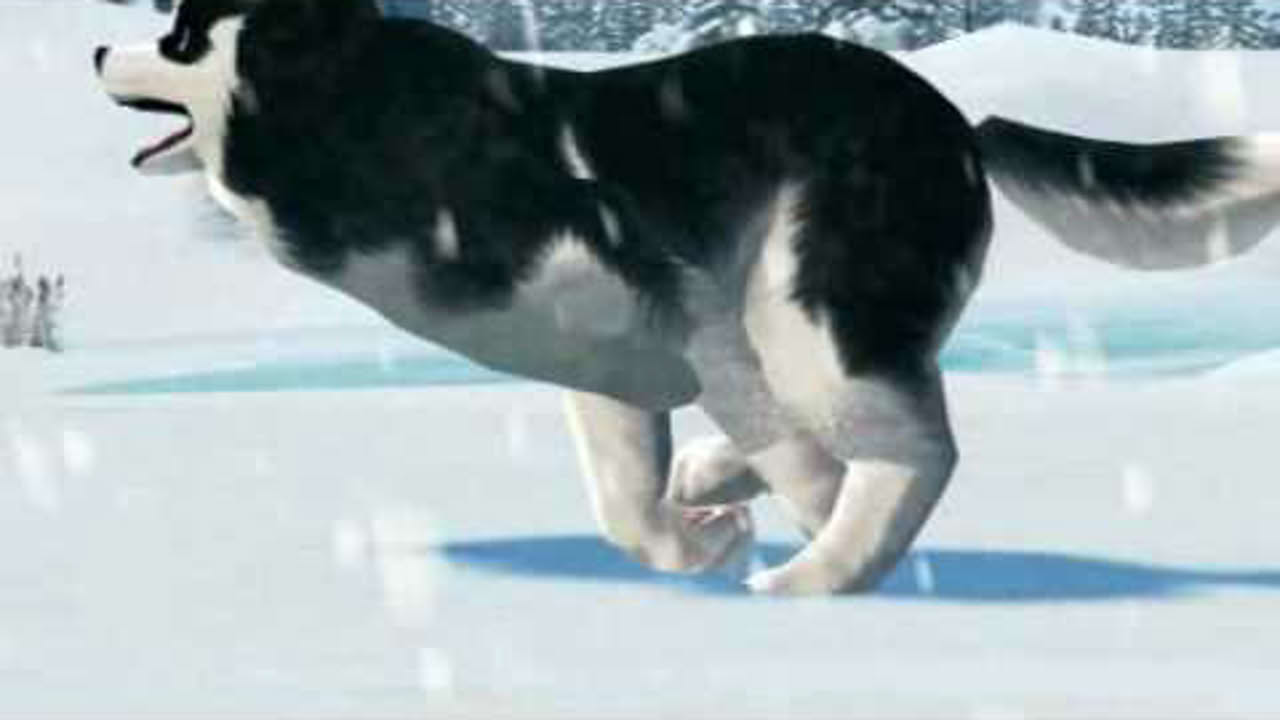 Husky Express Trailer