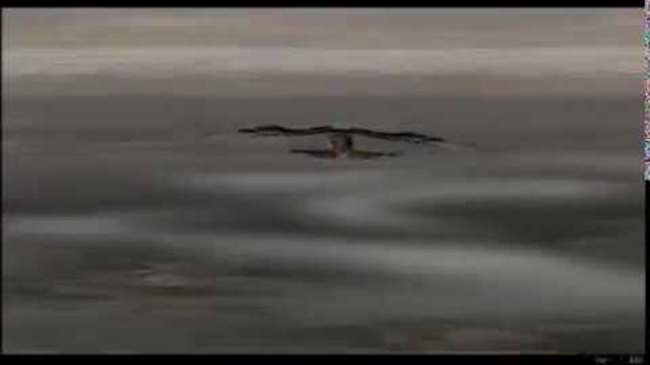 Priston Tale 1 first trailer intro opening 2002 (Pristontale)