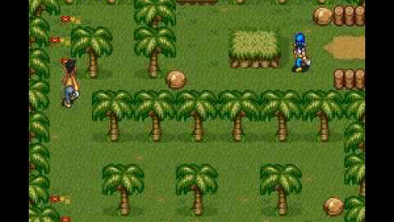 SNES Goof Troop - Level 1