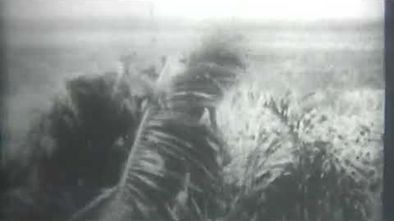 Campaign Series Vietnam 1948-1967 Full Teaser