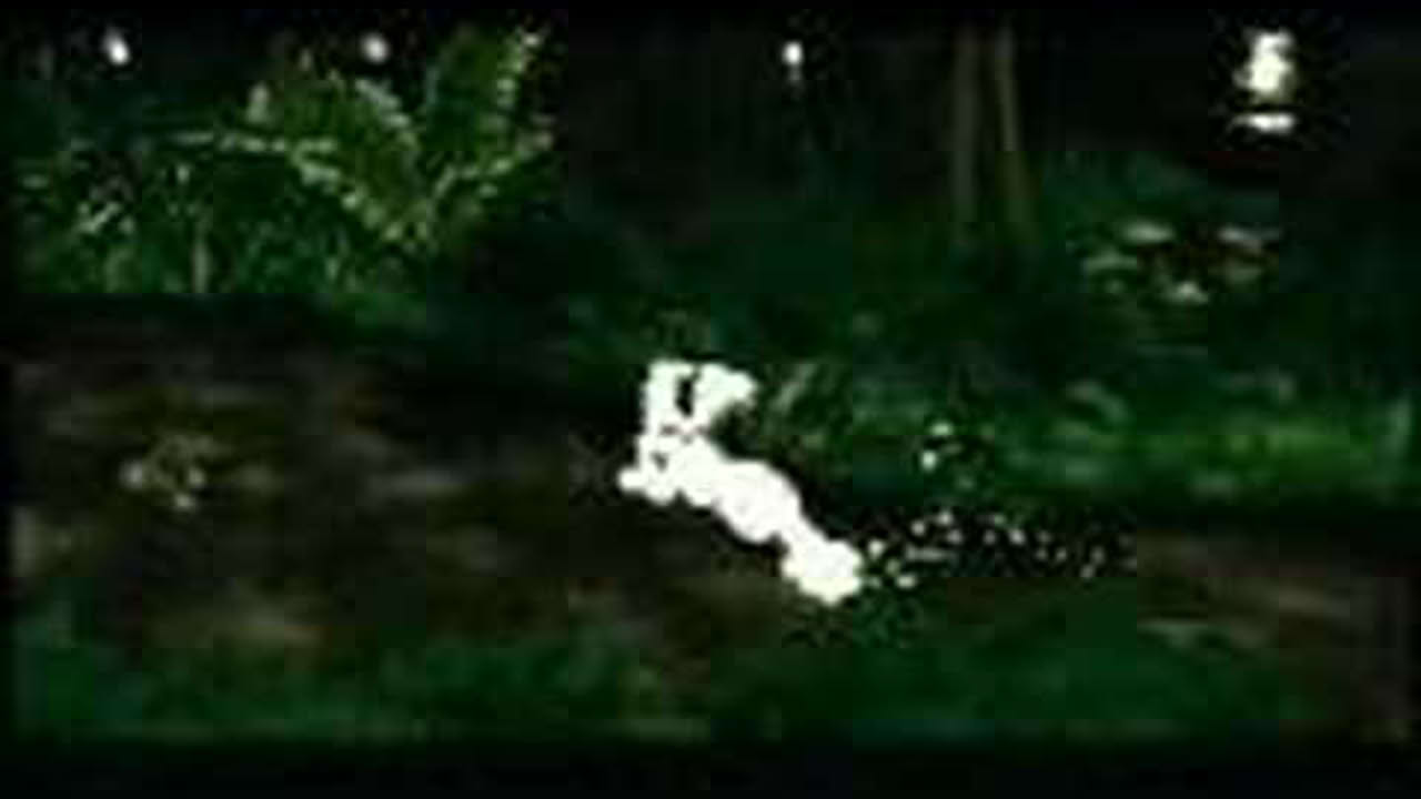 Jungle Emperor (Taitei, Kimba) Nintendo 64 Beta Unreleased