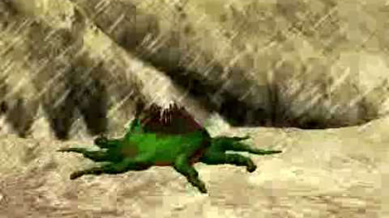 Gooka
