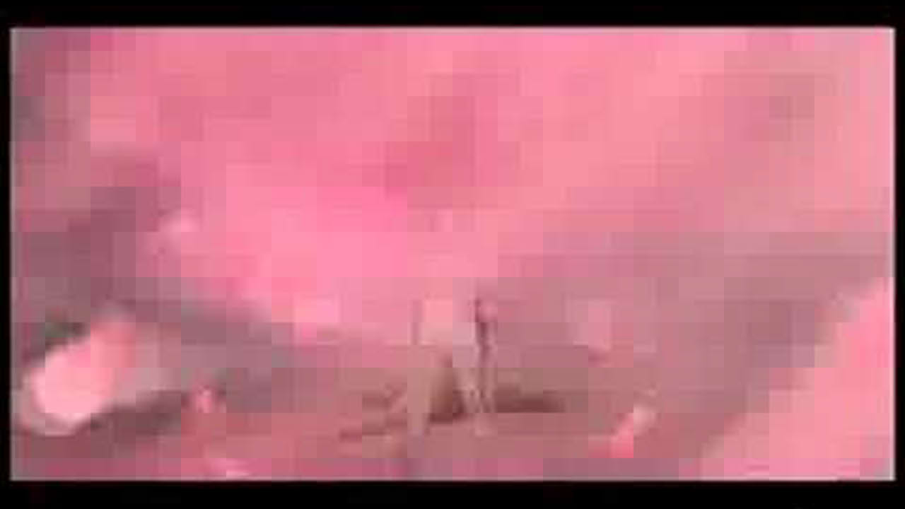 Naruto Clash of Ninja Revolution 2 Trailer