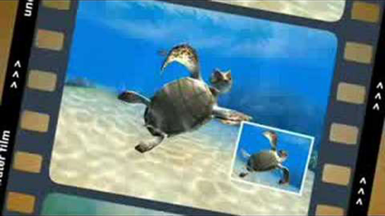 Sea Life Safari XBLA Trailer