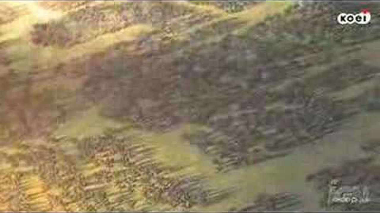 bladestorm E3 2006 Teaser