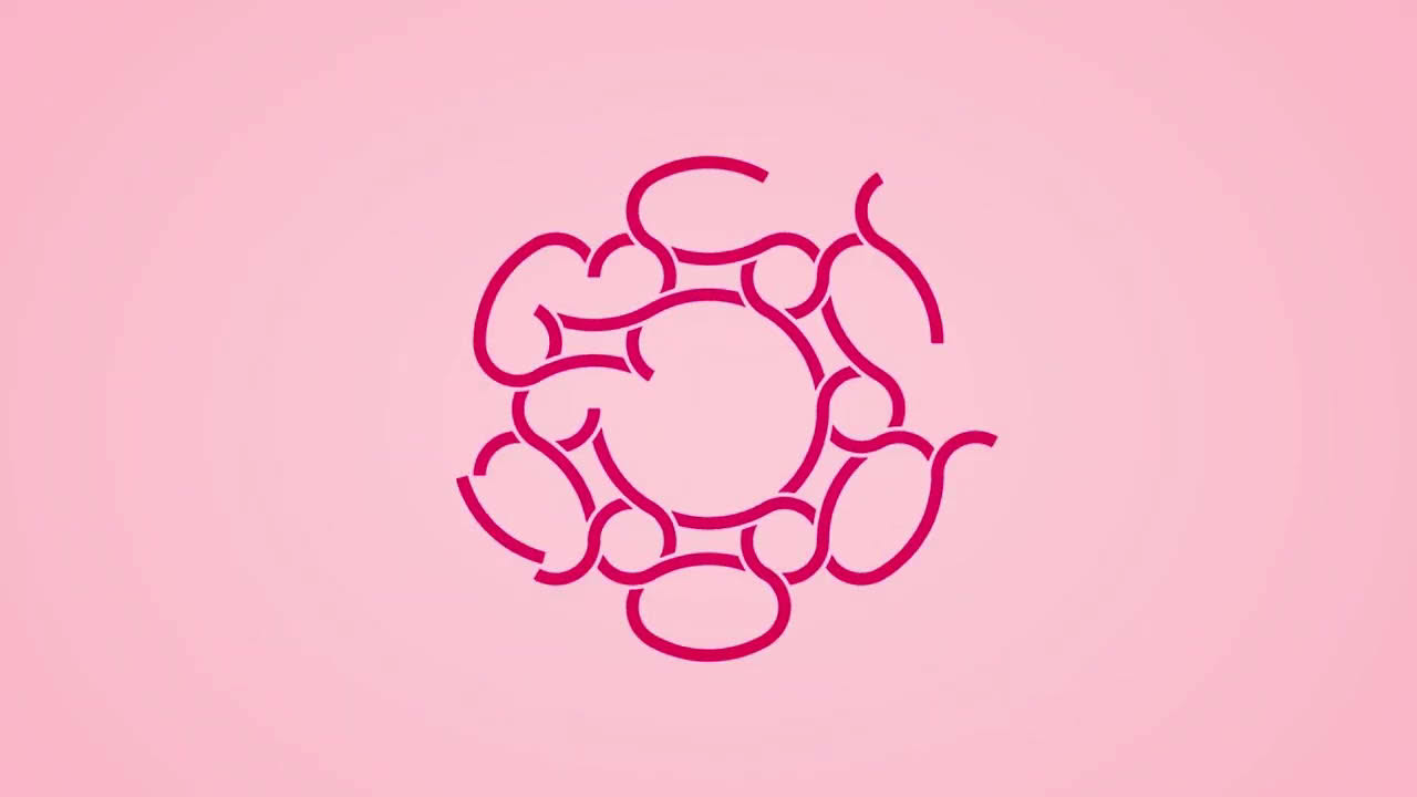 Hex Loop Trailer