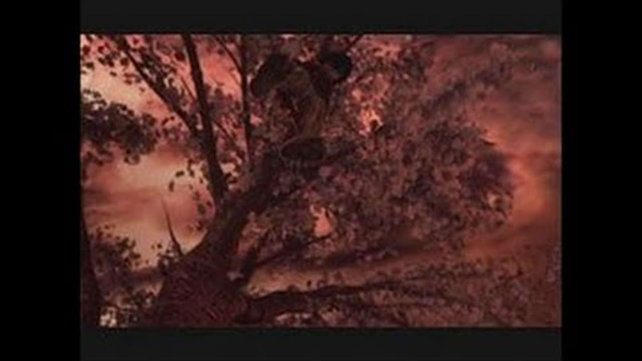Red Ninja: End of Honor PlayStation 2 Trailer - Trailer 2