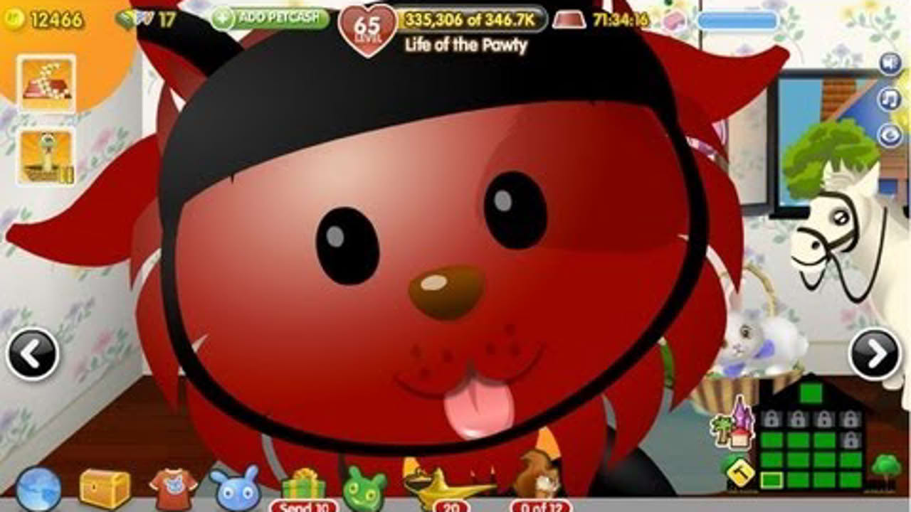 Old Facebook Games: Zynga's PetVille