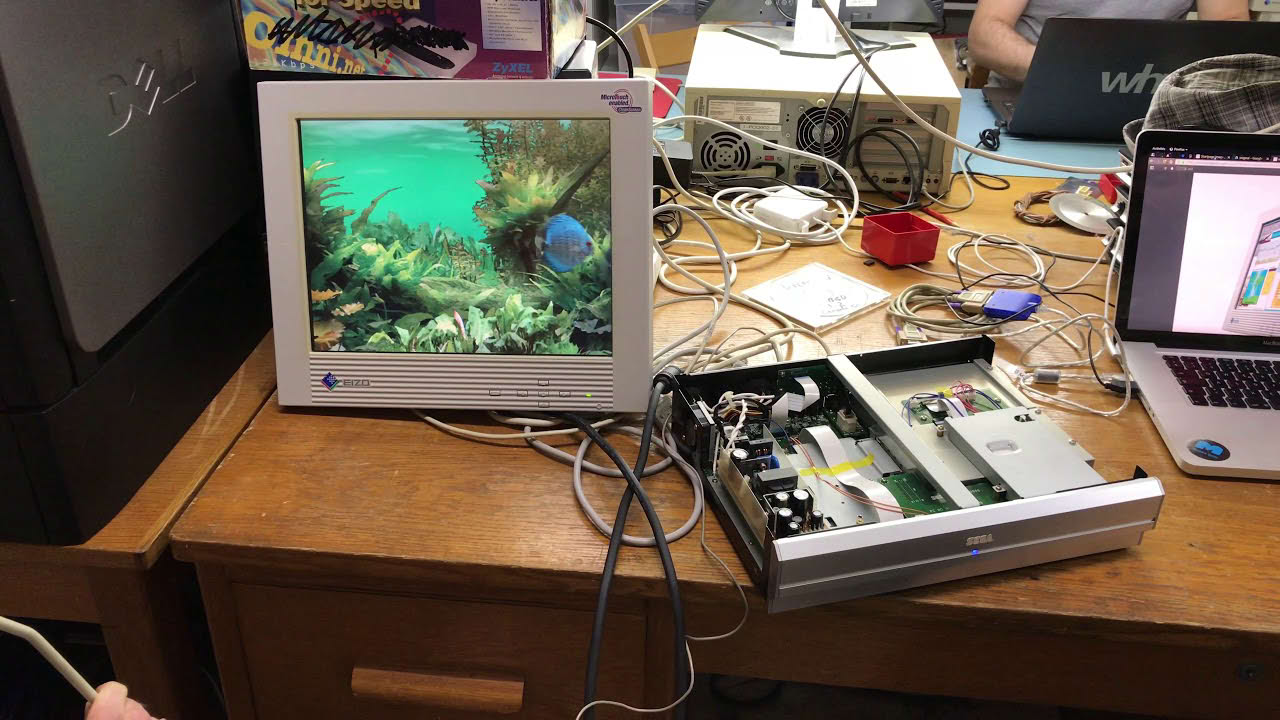 Talking to the SEGA Fish Life
