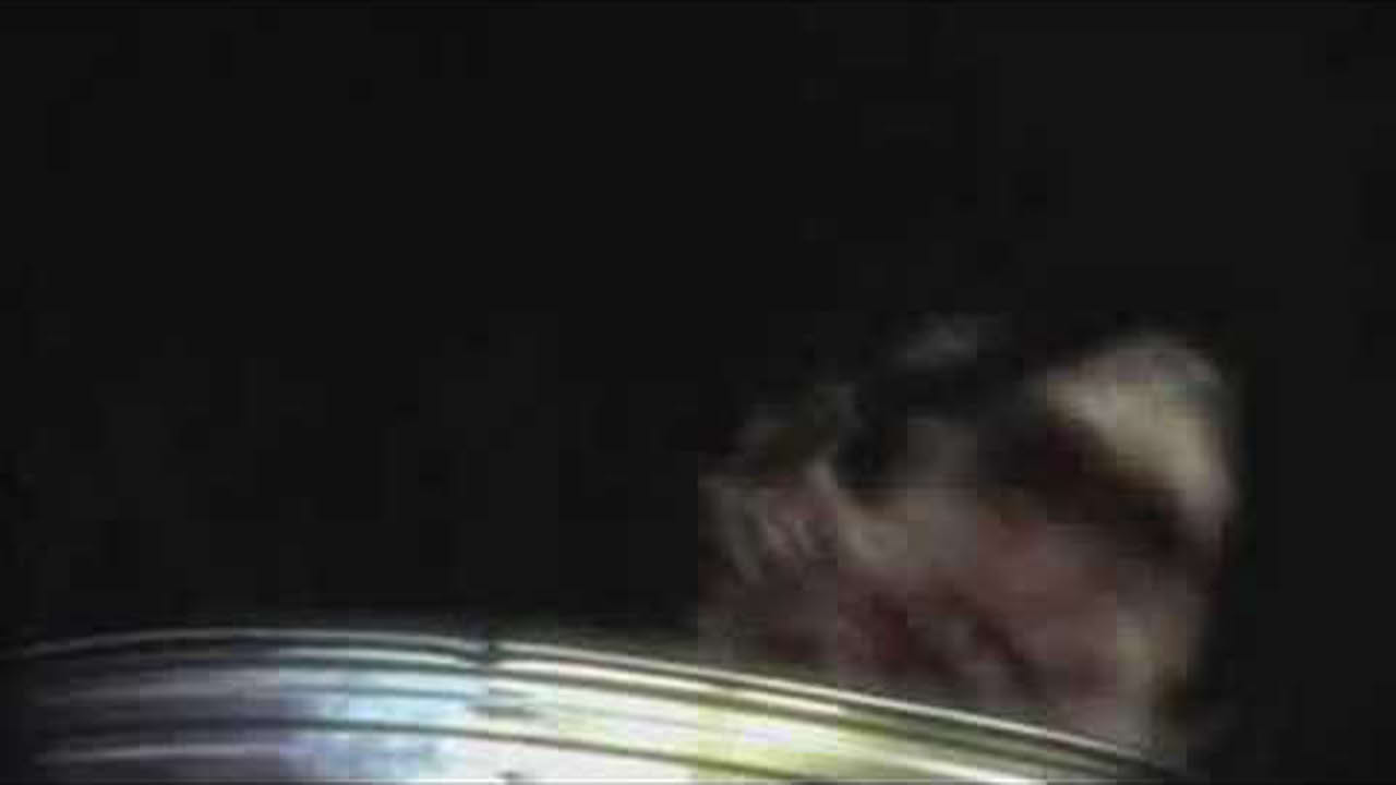 Tornado - Raccoon Trailer