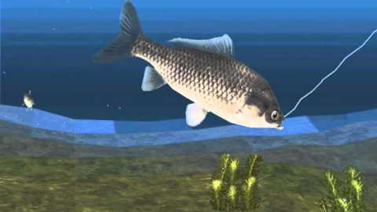 Carp, Carp, Magikarp - Reel Fishing II Part 1