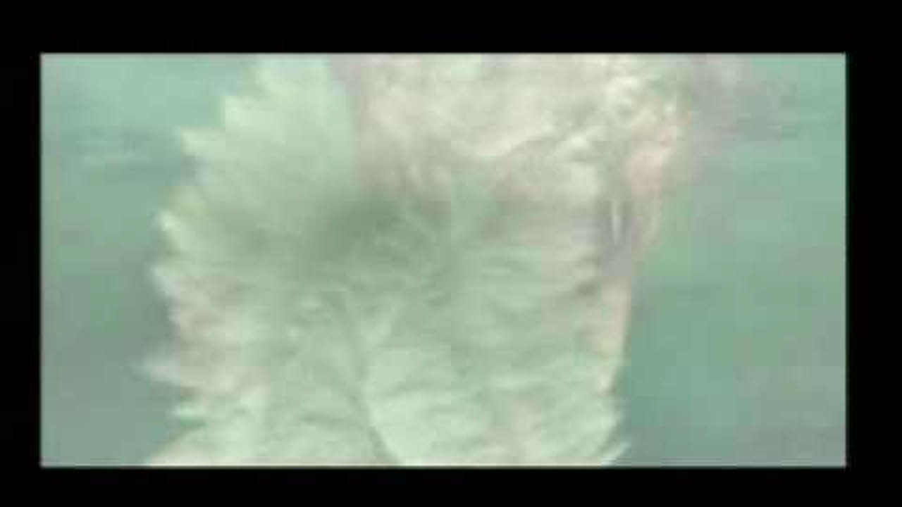Playstation - Devilman intro