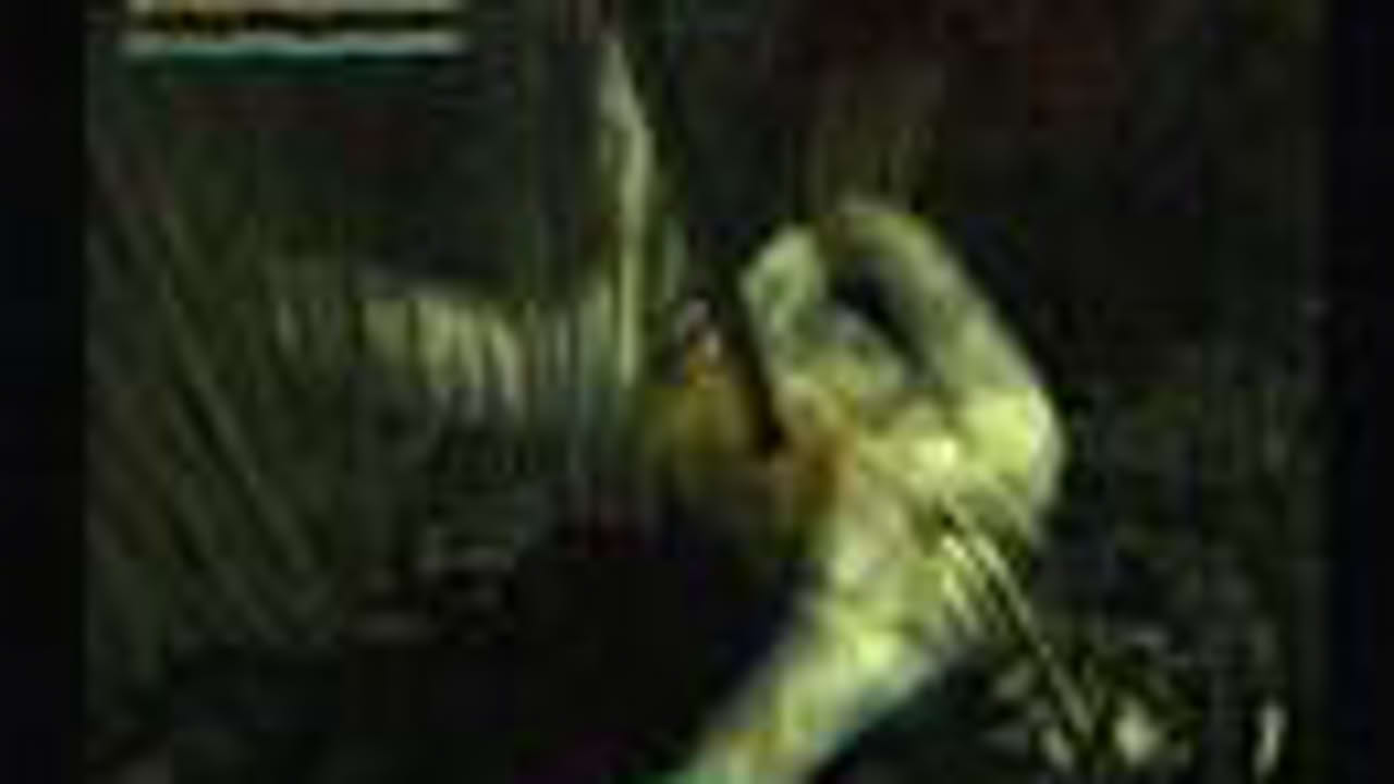 Shadow Tower Abyss - Gameplay