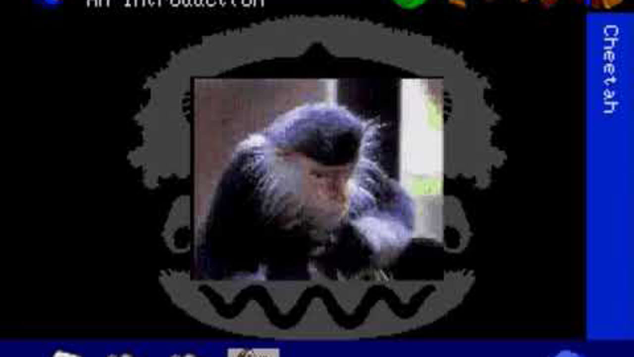 San Diego Zoo Presents    The Animals! • Sega CD Gameplay