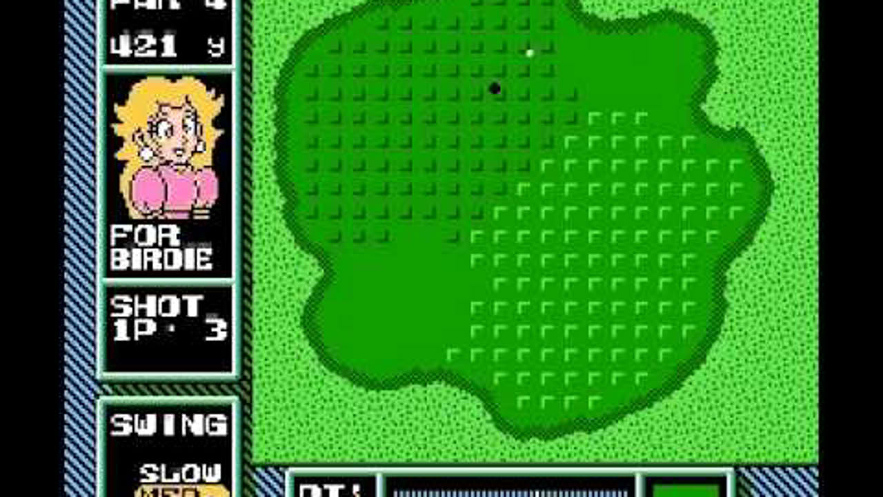 (TAS) NES Open Tournament Golf -26