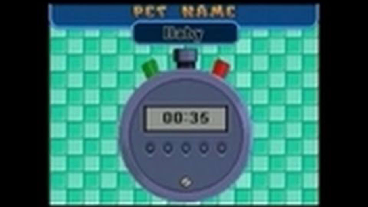 Puppy Luv: Spa and Resort Nintendo DS Gameplay -