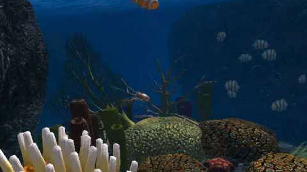 OceanDive trailer