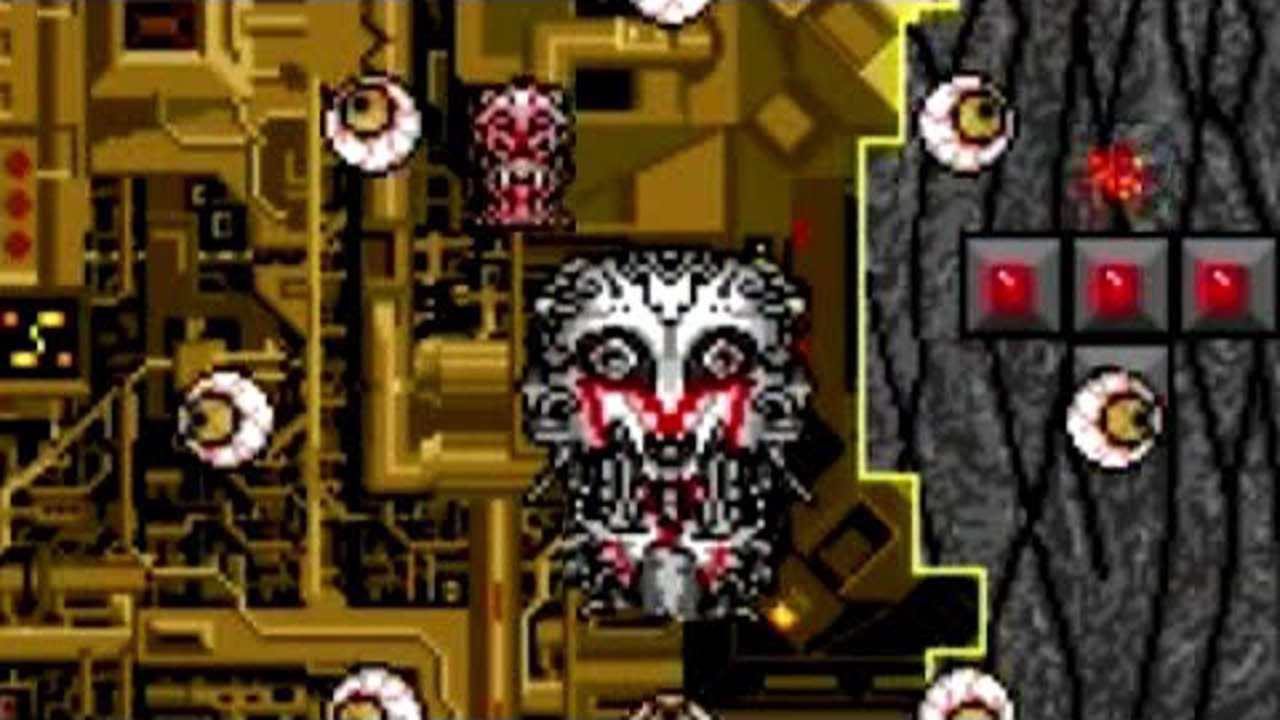 Volfied (PC) Playthrough - NintendoComplete